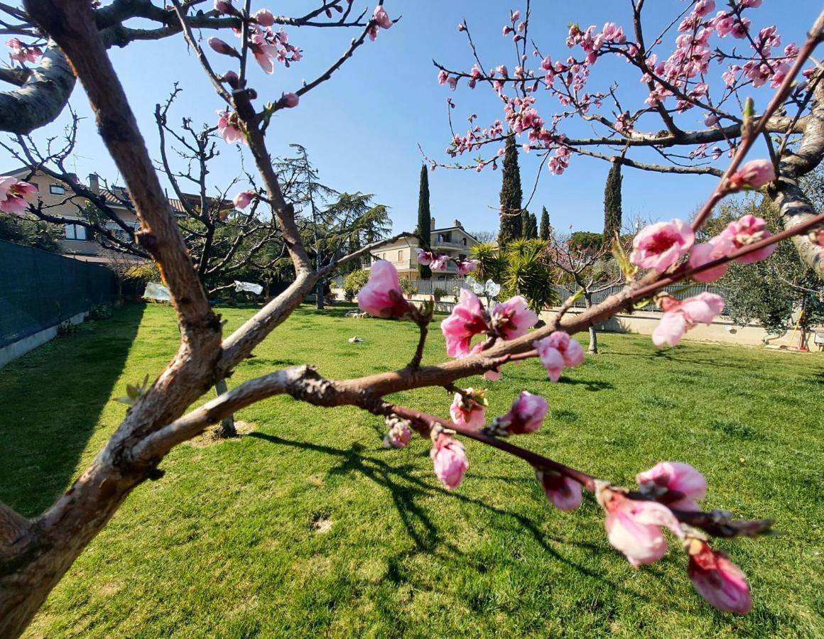 Itaca Villa Lido di Fermo Kültér fotó